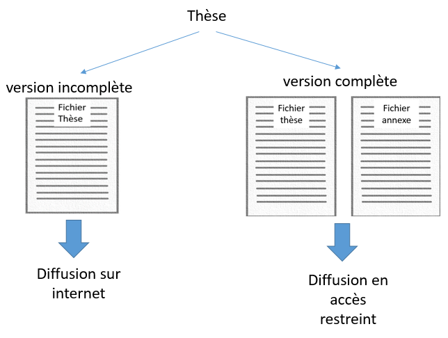 annexe specifique