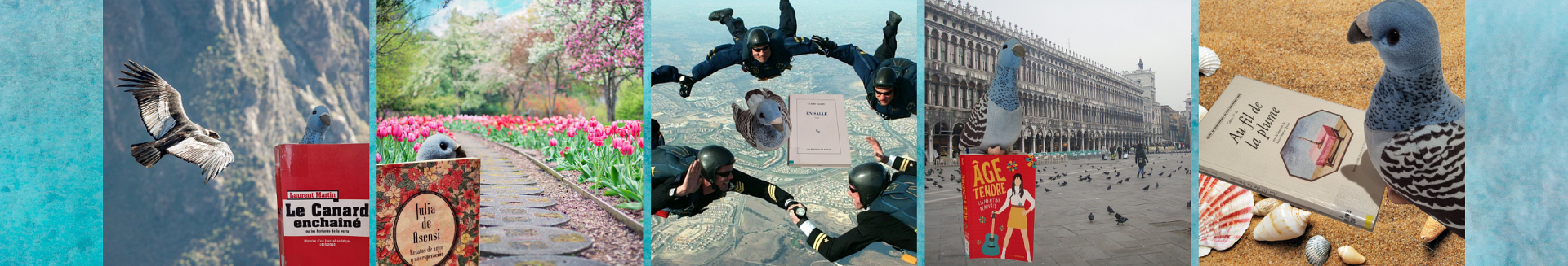 pigeon-1.png