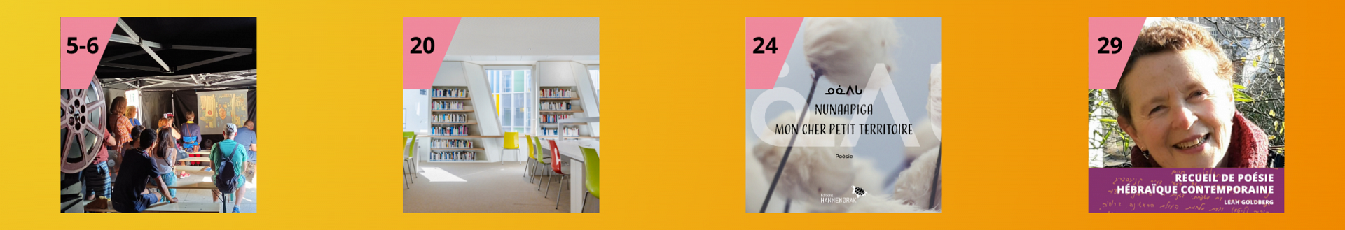bandeau-site-web-3.png