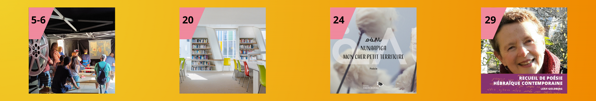 bandeau-site-web-3.png