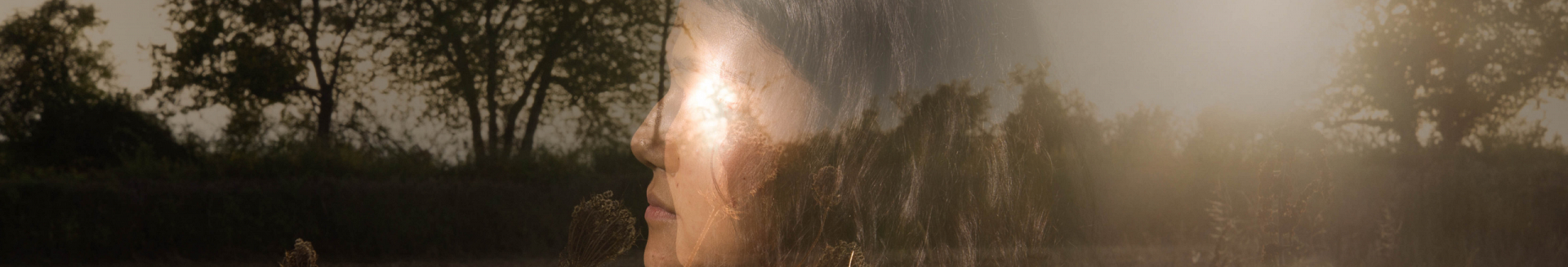 bandeau-site-web-8.png bandeau-site-web-8.png