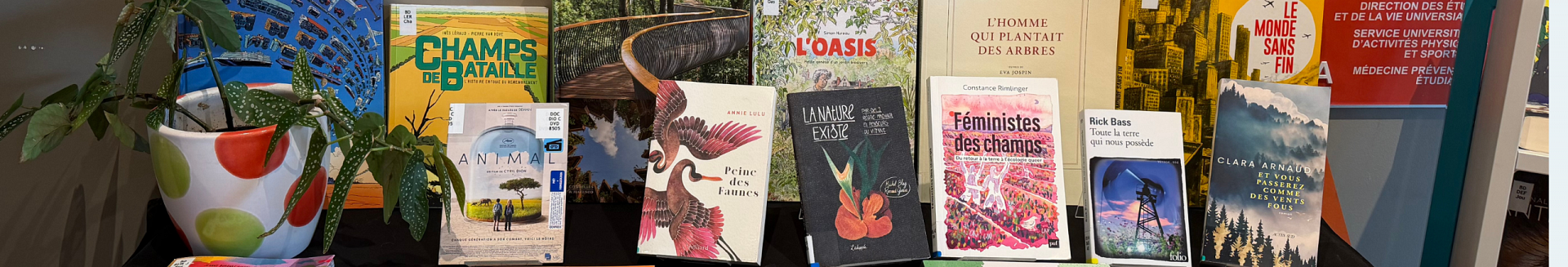 Sélection de documents sur la nature et l'écologie