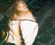 bandeau-site-web-17.png